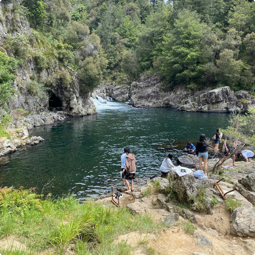 nature